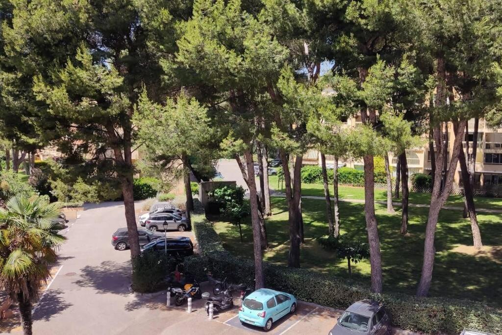 Bel Appartement Avec Piscine Proche Des Plages Six-Fours-les-Plages Exterior foto